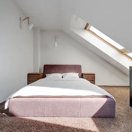 Charming Loft In Oldtown Apartment