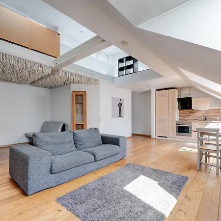 アパート Charming Loft In Oldtown ヴィリニュス